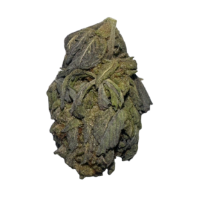 pink guava strain